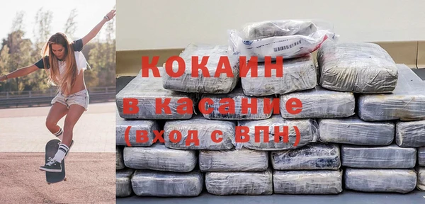 индика Аркадак