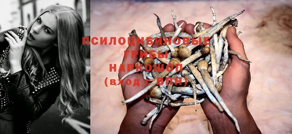 МДПВ Баксан